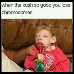 Meet your Posher, Martin